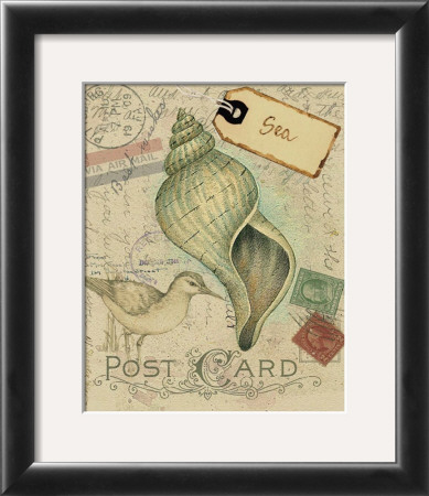 Postcard Shells Ii by Nancy Shumaker Pallan Pricing Limited Edition Print image