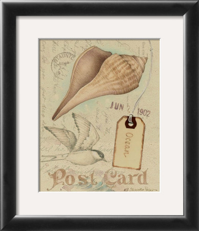 Postcard Shells Iv by Nancy Shumaker Pallan Pricing Limited Edition Print image