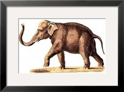 Elephant, Left Panel by Karl Brodtmann Pricing Limited Edition Print image