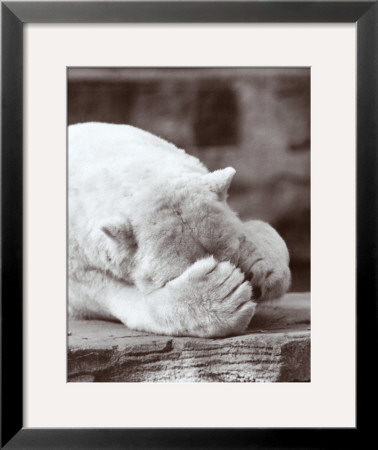 Barely Hiding by H. Armstrong Roberts Pricing Limited Edition Print image