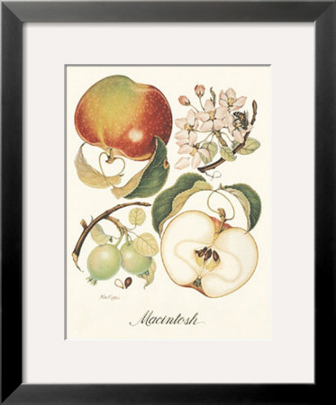 Macintosh by Nan Wiggins Pricing Limited Edition Print image