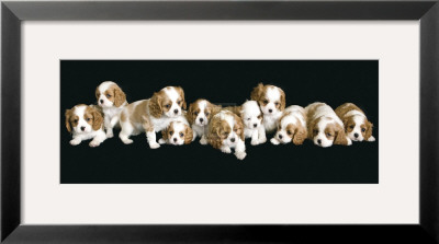 Puppy Love I by Linda Wood Pricing Limited Edition Print image