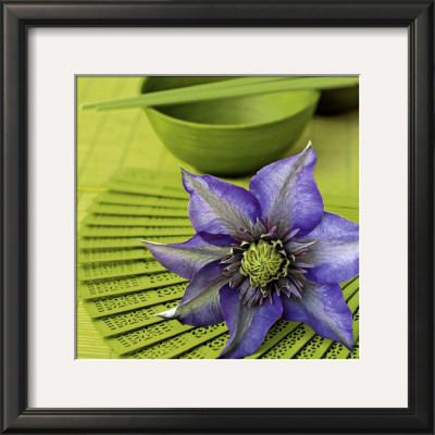 Clematile Et Eventail by Catherine Beyler Pricing Limited Edition Print image