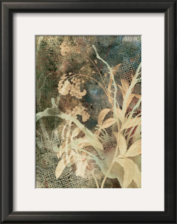 Bronze Botanical Ii by Maxwell Hutchinson Pricing Limited Edition Print image