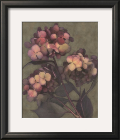 Autumn Kisses Ii by S. G. Rose Pricing Limited Edition Print image
