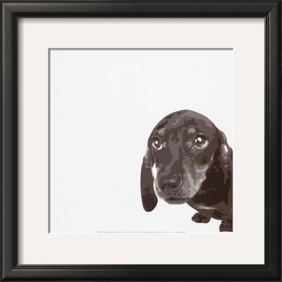 Dachshund by Emily Burrowes Pricing Limited Edition Print image