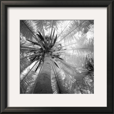 Palm Tree Iv by Jean-François Dupuis Pricing Limited Edition Print image