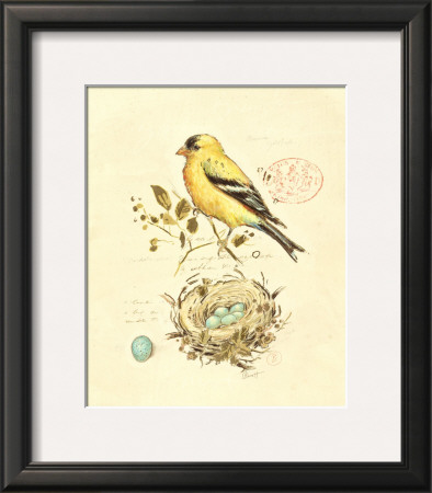 Gilded Songbird Ii by Chad Barrett Pricing Limited Edition Print image