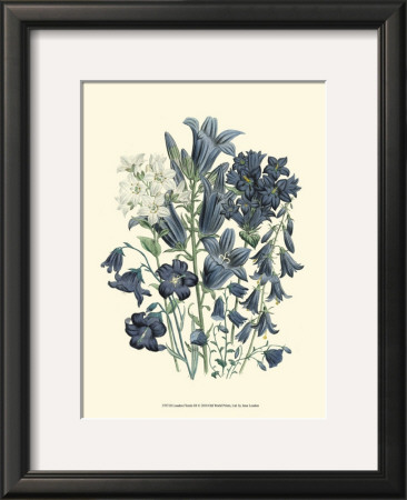 Loudon Florals Iii by Jane Loudon Pricing Limited Edition Print image