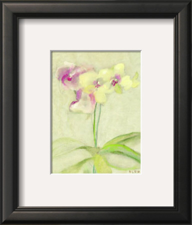 Eastern Florals Iv by Cheri Blum Pricing Limited Edition Print image