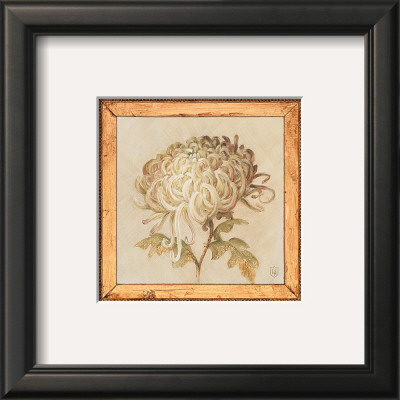 Chrysanthemum Floret by Lauren Hamilton Pricing Limited Edition Print image
