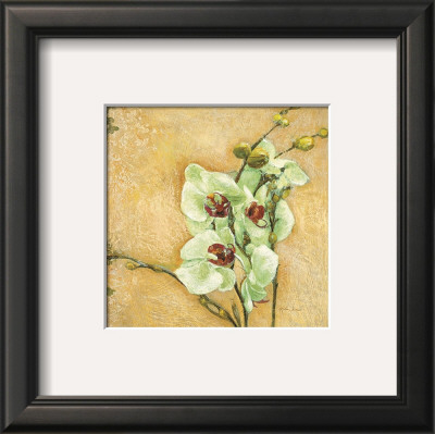 Grazioso Orchidea by Matina Theodosiou Pricing Limited Edition Print image