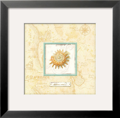 Sea Treasure Iii by Charlene Audrey Pricing Limited Edition Print image