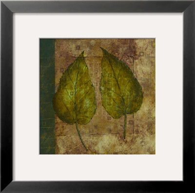 Nature Study Iii by John Kime Pricing Limited Edition Print image