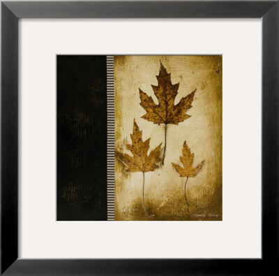 Maple Leaves Iii by Kimberly Poloson Pricing Limited Edition Print image