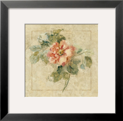 Provence Rose Ii by Cheri Blum Pricing Limited Edition Print image