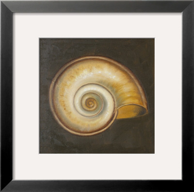 Seashell I by Patricia Quintero-Pinto Pricing Limited Edition Print image