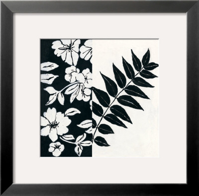 Black And White I by Stephanie Marrott Pricing Limited Edition Print image