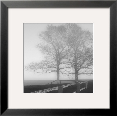 Seaside Tree by Mary Ruppert Pricing Limited Edition Print image