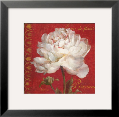 Paris Blossom Iv by Danhui Nai Pricing Limited Edition Print image