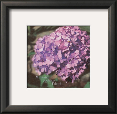 Sister's Garden by Tiffany Bradshaw Pricing Limited Edition Print image