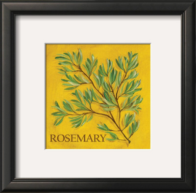 Rosemary by Kate Mcrostie Pricing Limited Edition Print image