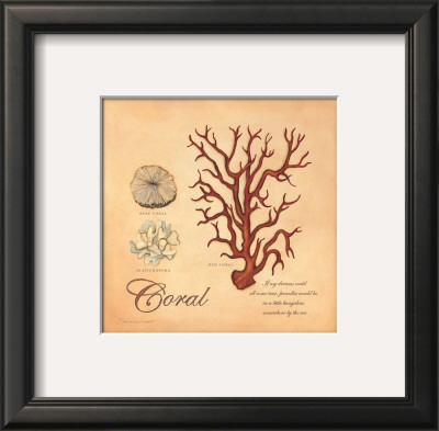 Coral by Stephanie Marrott Pricing Limited Edition Print image