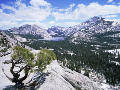 Tenaya Lake From Olstead Point On Tioga Pass, Yosemite National Park, California, Usa by David Kjaer Pricing Limited Edition Print image