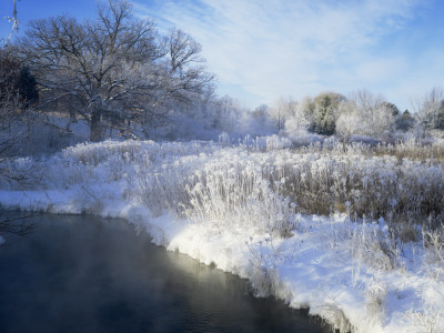 Scuppernong Creek In Winter Snow, Wisconsin, Usa by Larry Michael Pricing Limited Edition Print image