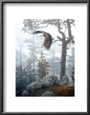 Shrouded Forest by Daniel Smith Pricing Limited Edition Print image