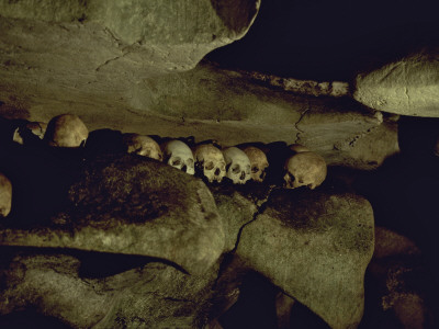 Lines Of Skulls In Cave, Indonesia by Michael Brown Pricing Limited Edition Print image
