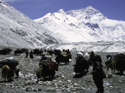 Yaks And Sherpas At The Foot Of Himalayan Mountain Range by Michael Brown Pricing Limited Edition Print image