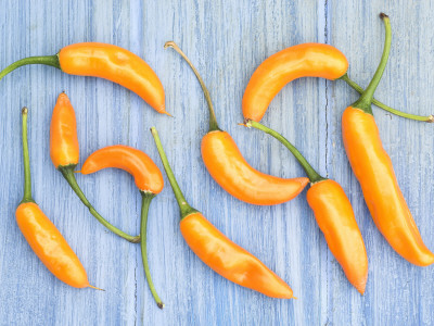 Yellow Chilli Peppers Chillies Freshly Harvested On Pale Blue Background by Gary Smith Pricing Limited Edition Print image