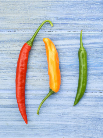 Yellow Red And Green Chilli Peppers Chillies Freshly Harvested On Pale Blue Background by Gary Smith Pricing Limited Edition Print image