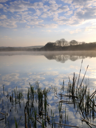 Lower Tamar Lake, North Devon Cornwall Border, Uk by Ross Hoddinott Pricing Limited Edition Print image