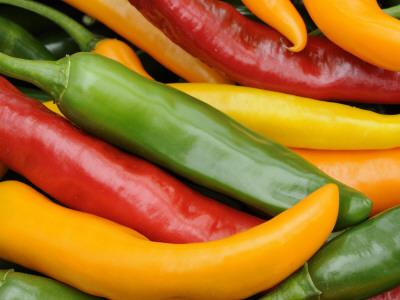 Freshly Picked Red, Green And Yellow Chillies Close Up Shot, Uk by Gary Smith Pricing Limited Edition Print image