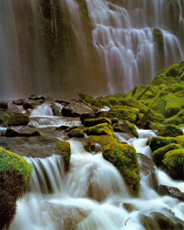 Proxy Falls, Oregon by Dick Dietrich Pricing Limited Edition Print image