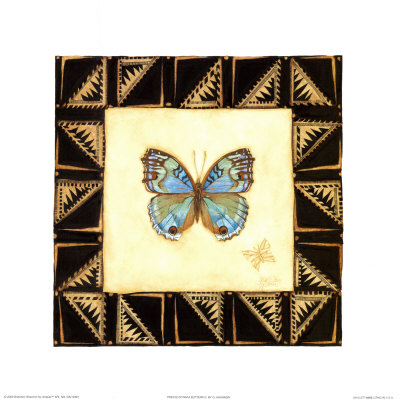 Precis Octavia Butterfly by Gretchen Shannon Pricing Limited Edition Print image