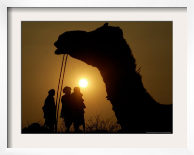 A Camel Stands As Villagers Walk At Sunrise At The Annual Cattle Fair In Pushkar, November 3, 2006 by Rajesh Kumar Singh Pricing Limited Edition Print image