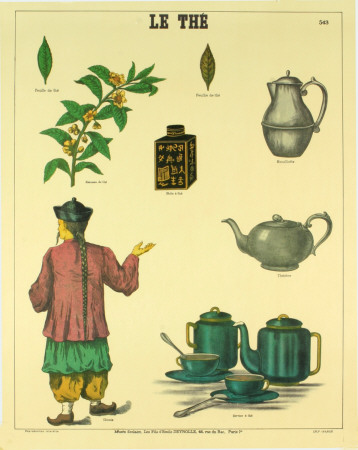 Le The (Tea History) by Deyrolle Pricing Limited Edition Print image