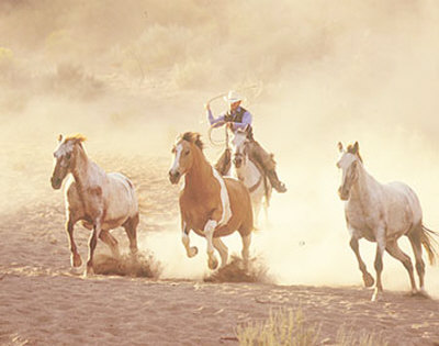 Lassoing Horses by Ron Kimball Pricing Limited Edition Print image