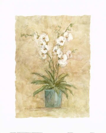 White Orchids Ii by Rosalind Oesterle Pricing Limited Edition Print image