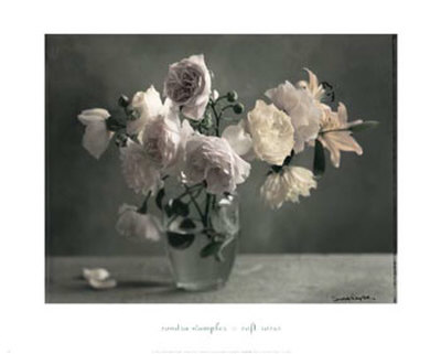 Soft Roses by Sondra Wampler Pricing Limited Edition Print image
