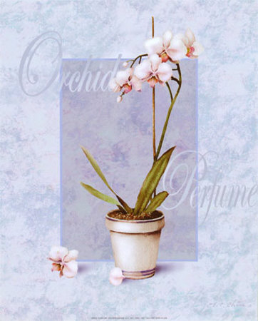 Orchid by Ann Walker Pricing Limited Edition Print image