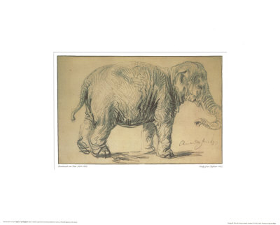 Study Of An Elephant by Rembrandt Van Rijn Pricing Limited Edition Print image