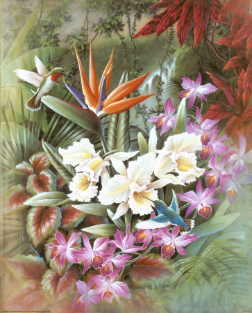 In The Tropics by T. C. Chiu Pricing Limited Edition Print image