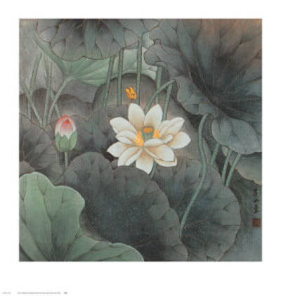 Yellow Butterfly And Lotus by Li Shan Pricing Limited Edition Print image