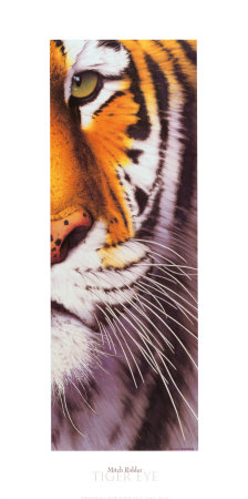 Tiger Eye by Ridder Pricing Limited Edition Print image
