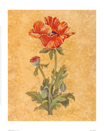 Oriental Poppy by Lee Jamieson Pricing Limited Edition Print image