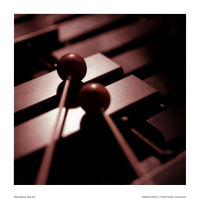 Xylophone by Steve Cole Pricing Limited Edition Print image